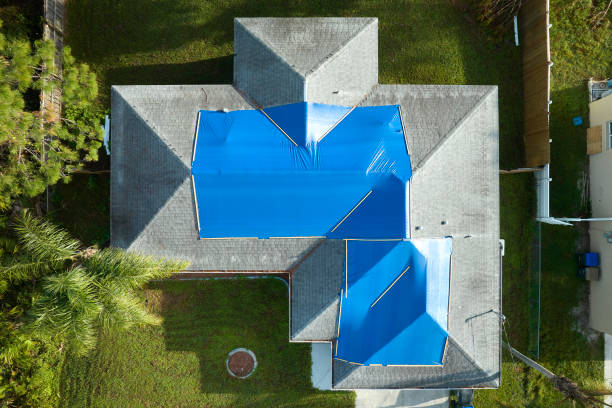 Best Roof Coating and Sealing  in Dodson Branch, TN