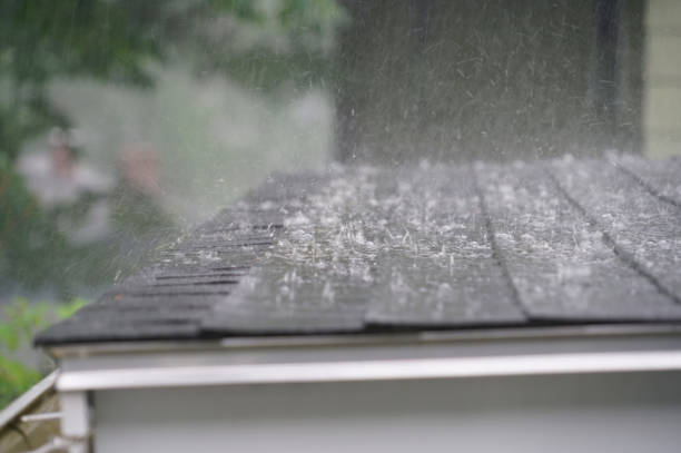 Best Gutter Installation and Repair  in Dodson Branch, TN