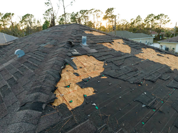 Best Solar Panel Roofing Installation  in Dodson Branch, TN
