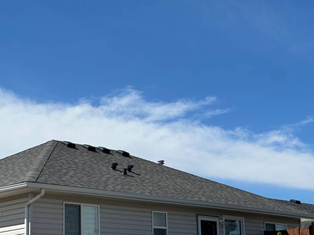 Best 4 Ply Roofing  in Dodson Branch, TN