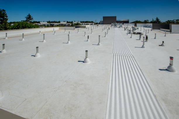 Best Roof Installation  in Dodson Branch, TN